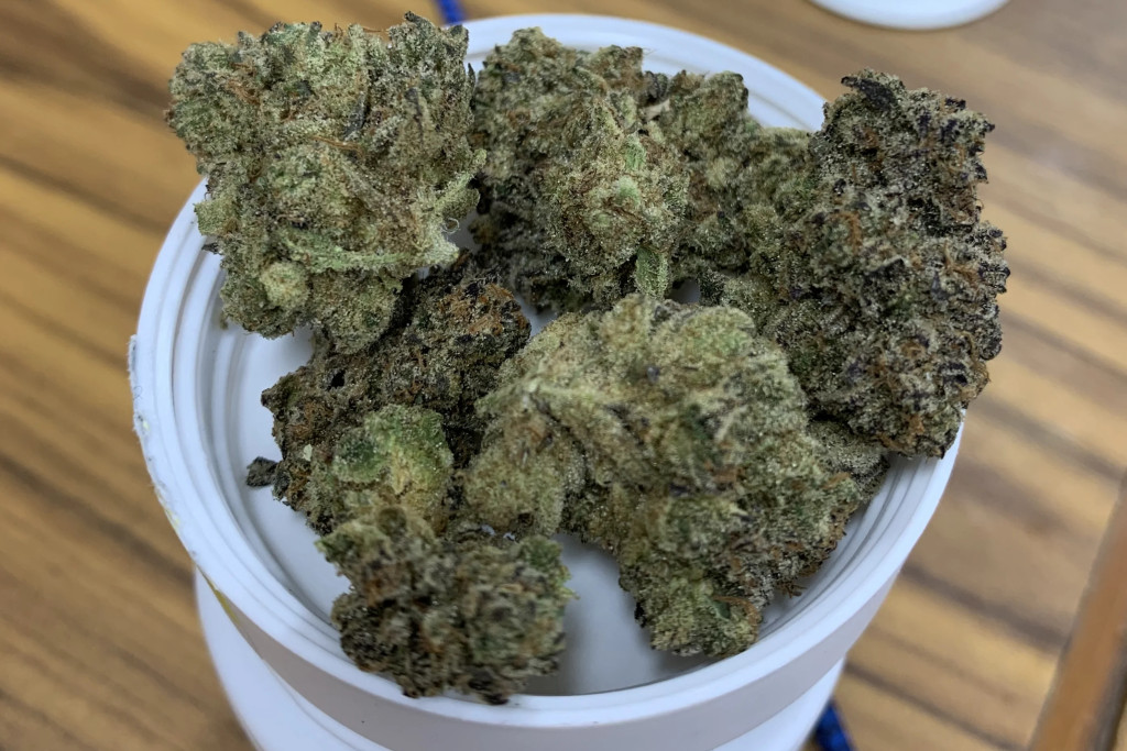 Ice Cream Cake Fast Flowering - DE