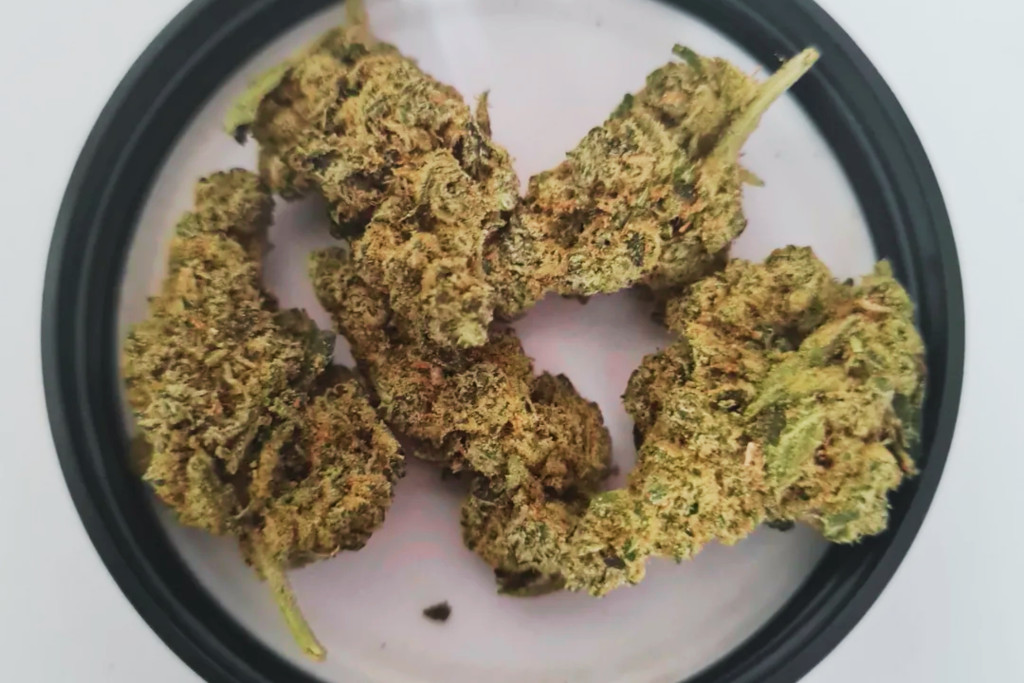 GMO Cookies - MB