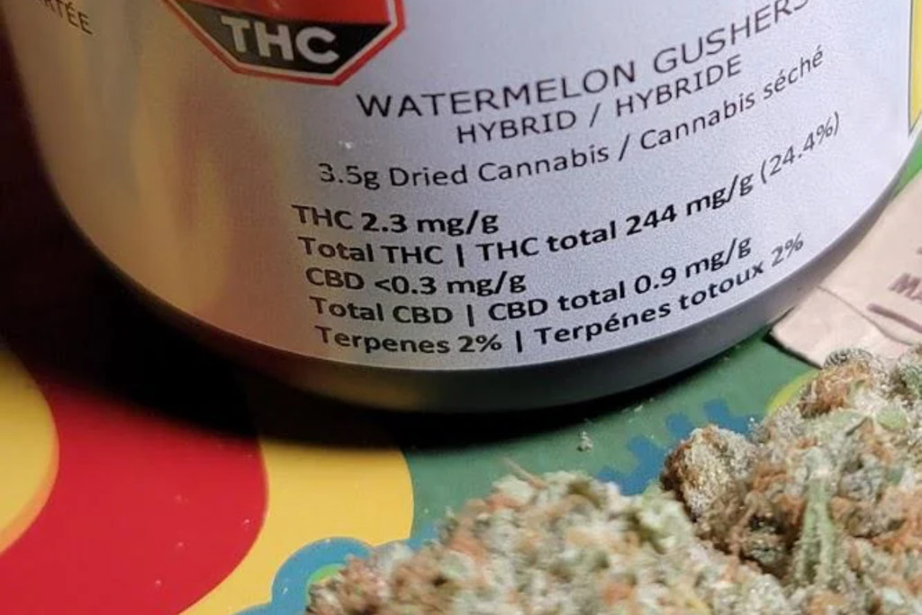 watermelon gushers strain
